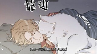 小猫单纯没有坏心思！