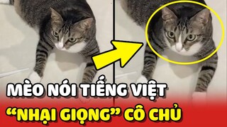 Chiếc mèo biết NÓI TIẾNG VIỆT trổ tài "NHẠI GIỌNG" cô chủ chính xác từng chữ 😂 | Yêu Lu