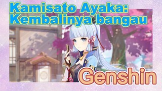 Kamisato Ayaka: Kembalinya bangau