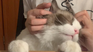 Just touch it