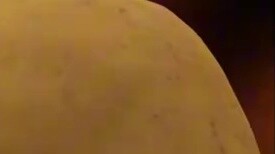 Feishaer, người dẫn chương trình V duy nhất bị quản trị viên siêu cấp cảnh cáo vào ngày sinh nhật vì
