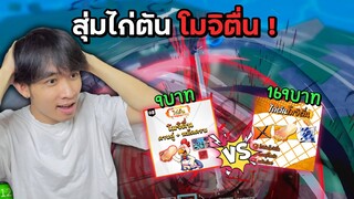 สุ่มไก่ตันโมจิตื่น 9บาท VS 169บาท จะได้จริงไหม!? Blox Fruits