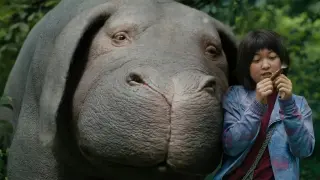 A Young Girl Risks Everything To Prevent A Company From Kidnapping Her Best Friend.  Okja