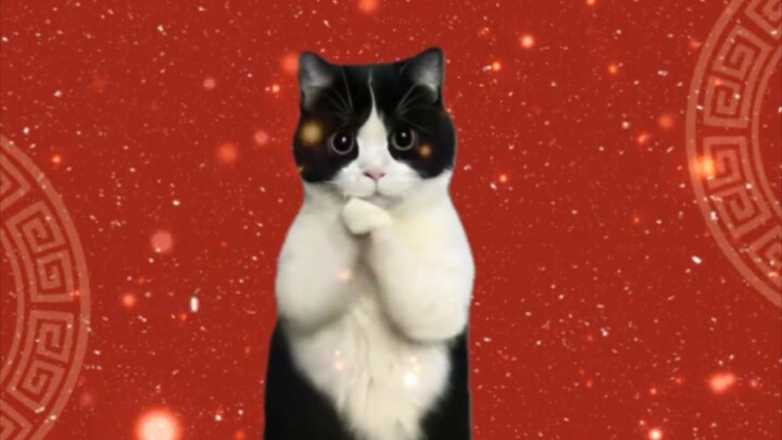 Kucing sapi perah di sini sedang membagikan keberuntungan untuk kalian semua! Selamat Tahun Baru!!