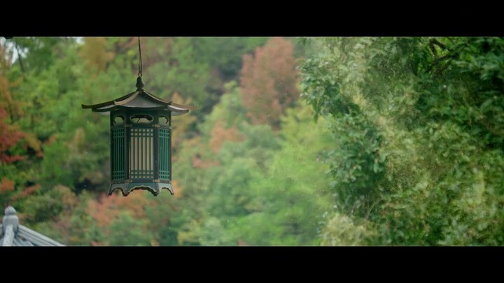 #Agarwood#Eaglwood#Gaharu#Indonesia#2