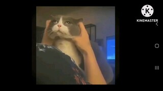i am not listening