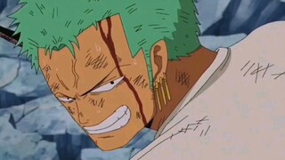 zoro always worried about sanji