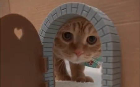 ปรากฎว่าการเป็นหนูน่าตื่นเต้นมาก (1)