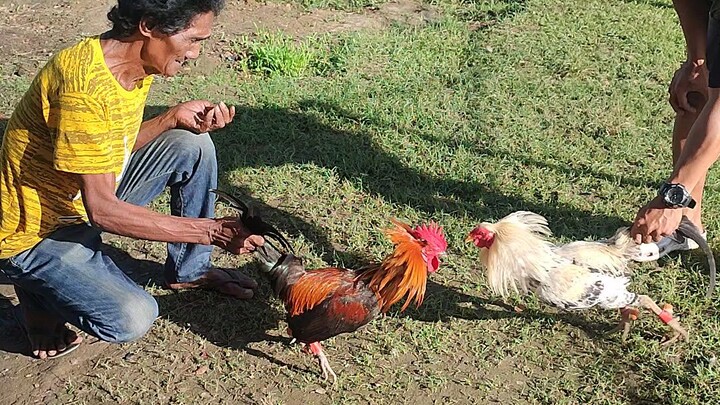 sbr vs kanawayon x talisayin