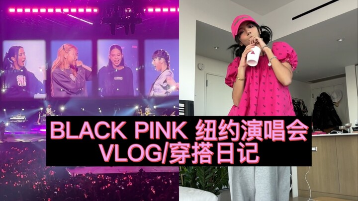 Gaya Outfit Anti-BLACK PINK di Konser BLACK PINK Jakarta!!