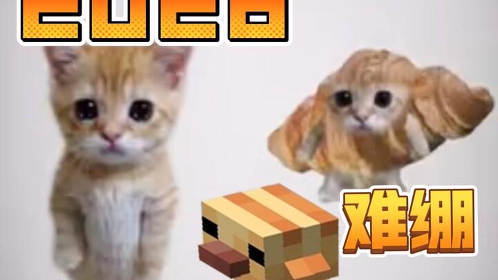 2026 đầu tiên: Cập nhật MC khen ngợi gà Quasong