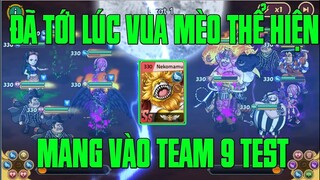 Hải Tặc Đại Chiến - VUA MÈO NEKOMAMUSHI 100% MIỄN CHỐNG 150 NỘ VÀ SỰ KHÓ CHỊU TỪ HIỆU ỨNG KHỐNG CHẾ.