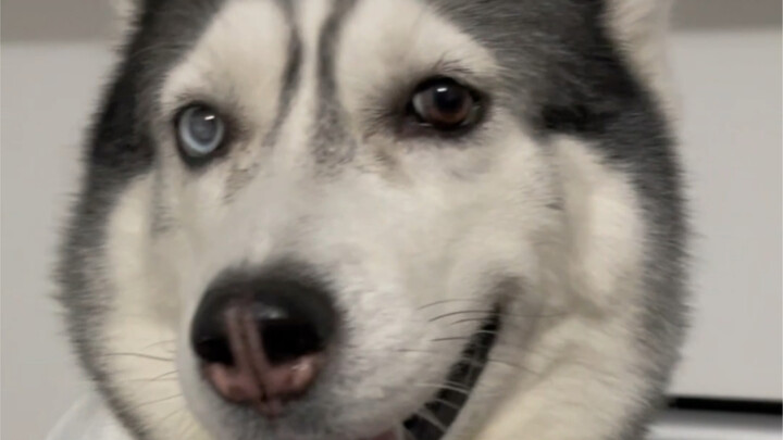 تنسيق ملابس فعّال يُظهِر الشباب لعشرين سنة إضافية!