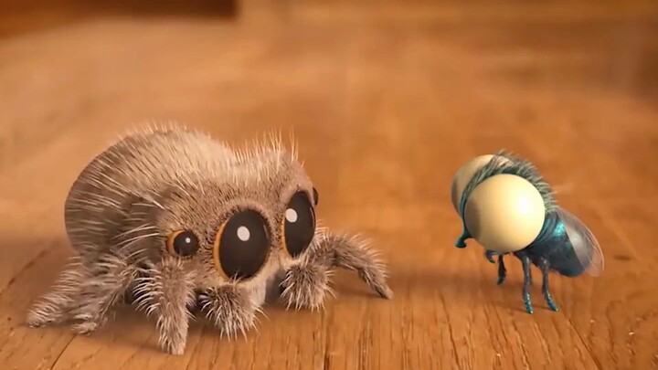 This is an extremely cute little spider and it has many talents!
