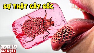 Sự Thật Gây Sốc Về THẠCH RAU CÂU - Bí Ẩn Sau Những Chiếc Thạch Bắt Mắt Là Gì?