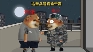 这新兵还不提干吗？