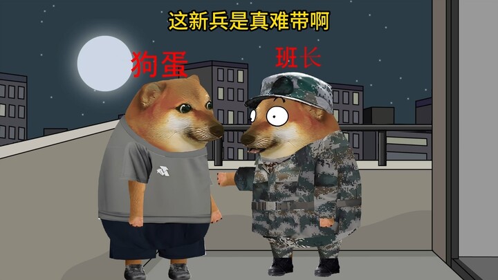 这新兵还不提干吗？
