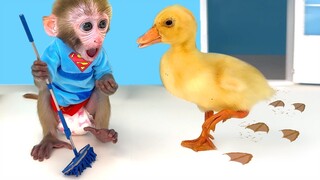 Monkey Baby Bon Bon Takes a Bath with Duckling in the Bathtub and Eats Ice Cream So Yummy