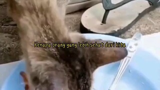 kenapa Allah masih semaikan myawa di diri kita!?