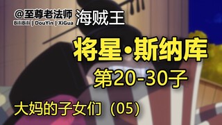 将星·斯纳库的资料【大妈和她的子女们-第05话-第20~30子】【海贼王】