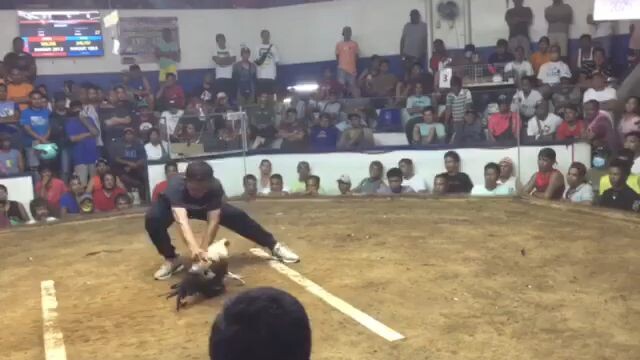 Cabuyao Coliseum  Dec 15 2023 Using Regular Grey 1st fight Win.#AthenaGf.