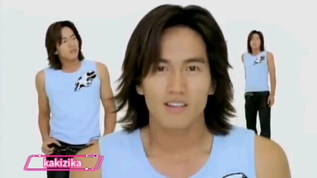 meteor garden