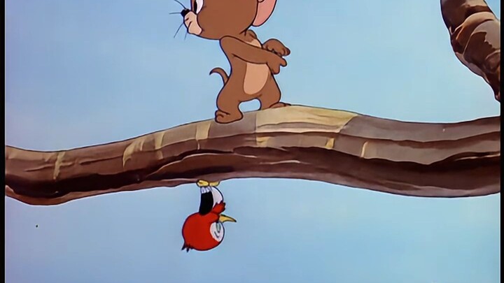 Tom and Jerry|第041集：麻烦的诞生【4K修复版】（ps：左声道：解说版；右声道：纯享版）