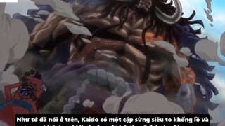 4 Giả Thuyết Hay Nhất Về Kế Hoạch Tân Onigashima_ _ Giả Thuyết One Piece 8