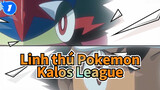 Linh thú Pokemon|[XY]Bộ sưu tập giải đấu Kalos League Dojo-Đánh giá trong 5 phút_1