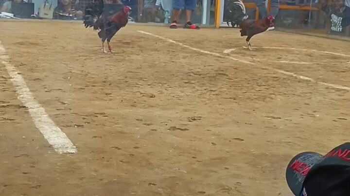 Fastestkill  Naka premyo 5k Genzon Cockpit