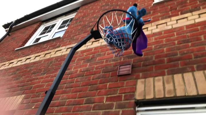 naarky gets caught in a net