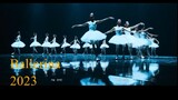 Drama Korea || Ballerina 2023