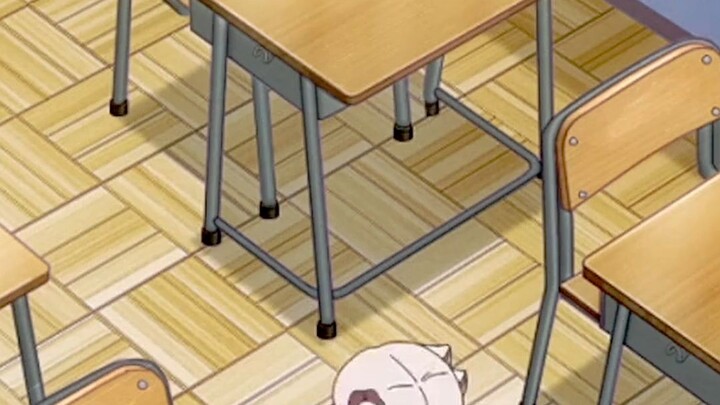 kawai ishikawa☺️