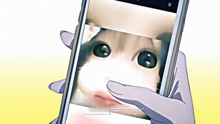 "Enlightenment·Top Grade Shao Luo·Tiao"