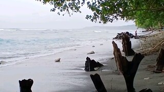 laut