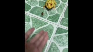 อากาศจะร้อนไปไหนเนี่ย ไปหาเธอได้ป่าว