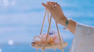 【لقطات فارغة لزهور بأسلوب قديم】 زهور المشمش، زهور الكمثرى، زهور اللوتس، الورد، بتلات تتساقط، الزهور 