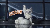 It turned out to be a furry mermaid｜siren-Xuanmei