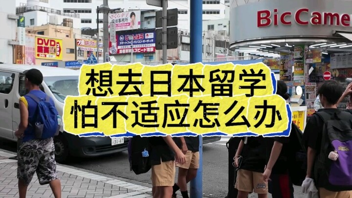 อยากไปเรียนต่อที่ญี่ปุ่น แต่กลัวปรับตัวไม่ได้ ควรทำอย่างไรดี?