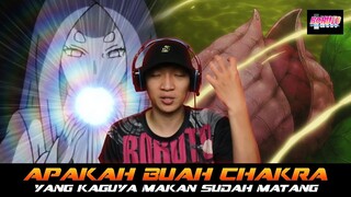 APAKAH BUAH CHAKRA YANG KAGUYA MAKAN SUDAH MATANG?