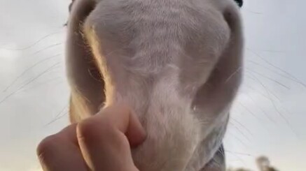 บีเอ็มดับเบิลยูตัวจริง! สตาร์ทเลย!