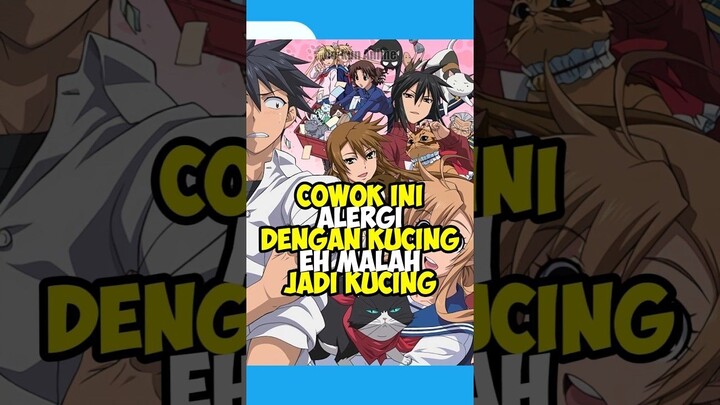 Bro Kena Kutuk Jadi Kucing Gemoy 🗿 #anime #animeindo
