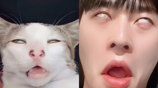 他的精神状态好疯，我好爱！丞磊的日常也是搞笑男啊！