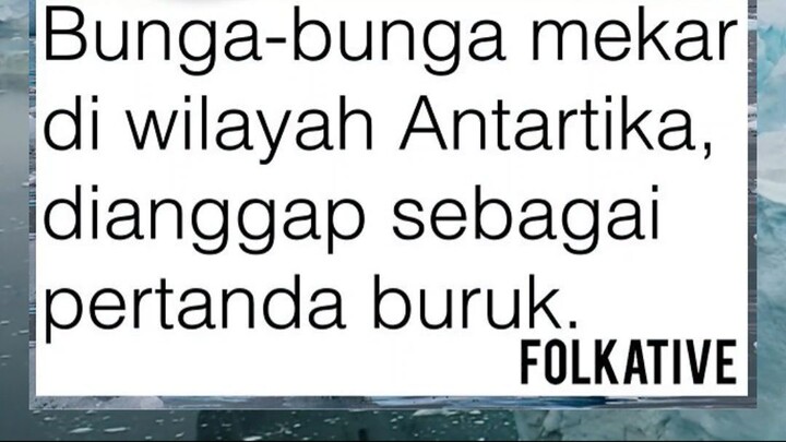 BUNGA MEKAR di ANTARTIKA dianggap PERTANDA BURUK?!