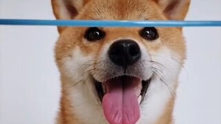 这么逼真的蓝线特效还是第一次见！！！