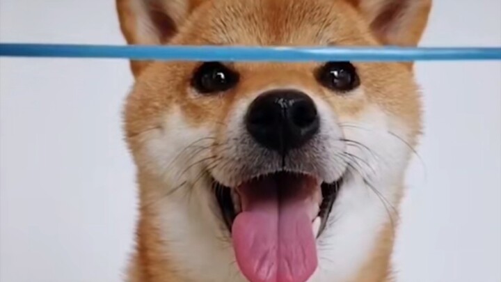 This is the first time I’ve seen such a realistic blue line effect!!!