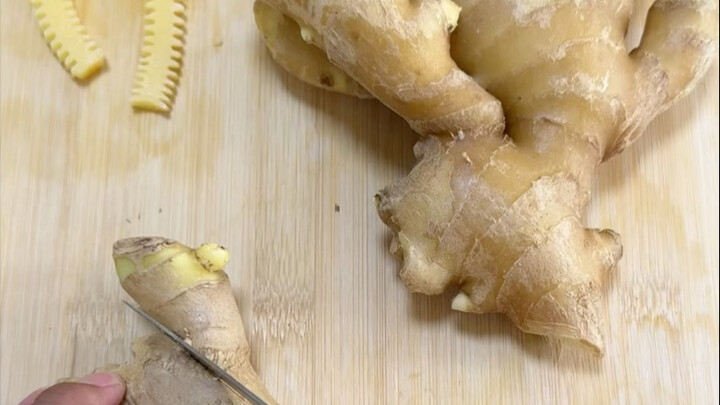 جذر الزنجبيل كوس بلا شعر المعدة