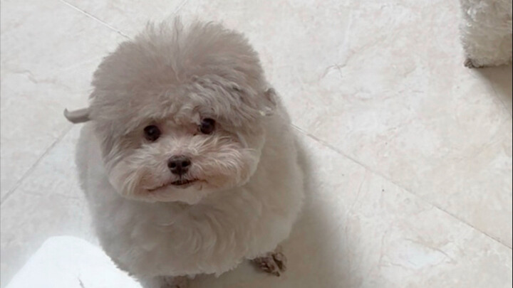 الوضع مختل تمامًا!