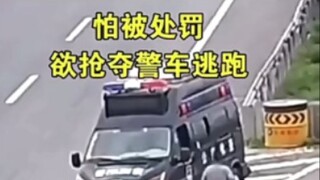 这个视频真的配得上R星