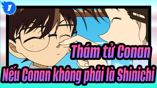 [Thám tử Conan] Conan & Ran | Nếu Conan không phải là Shinichi_1